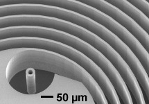 Vertical structure in silicon